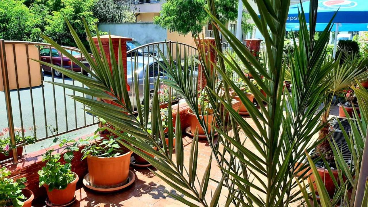 Adri Guest House Misivri Dış mekan fotoğraf